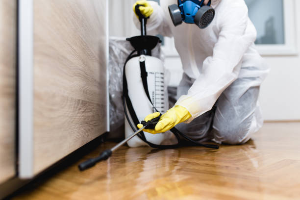 Pest Control Cost in Millington, NJ