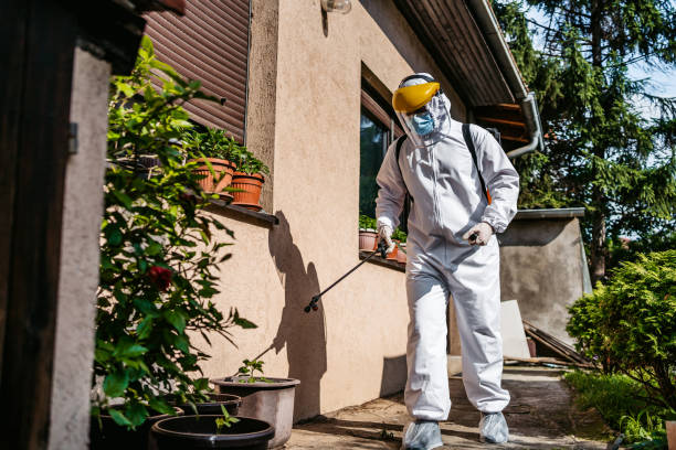 Best Termite Control Services  in Millington, NJ