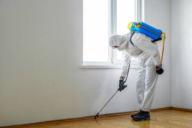 Best Affordable Pest Control Services  in Millington, NJ