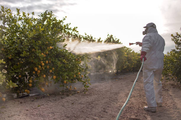 Best Pest Control Near Me  in Millington, NJ